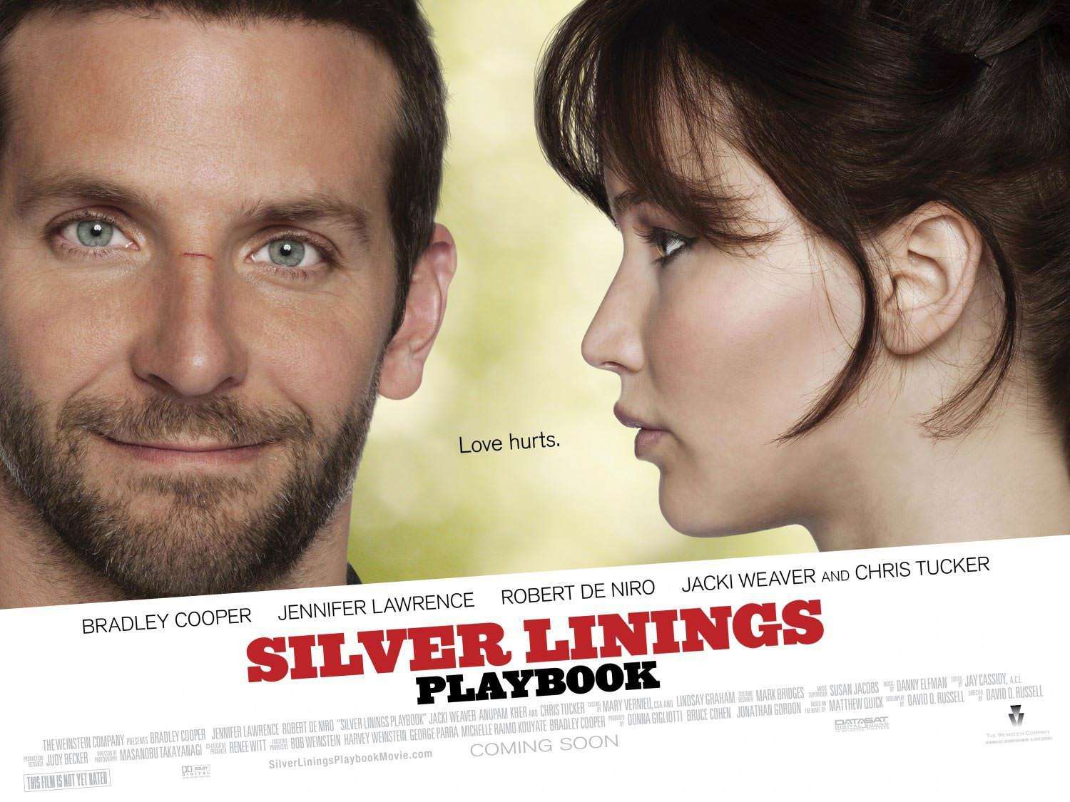 Silver-Linings-Playbook-poster1