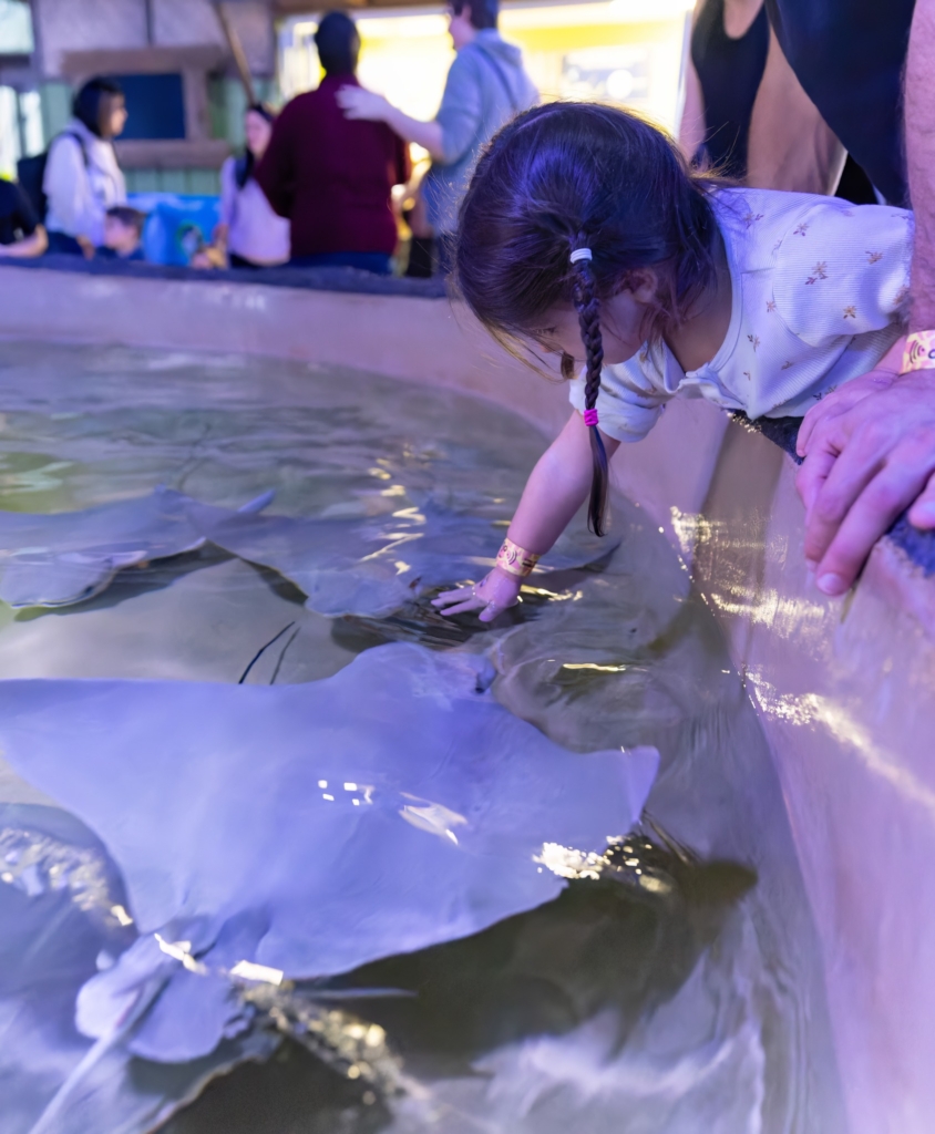 Zoo de Granby : des animaux au parc aquatique