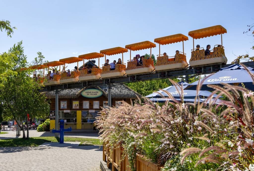 Zoo de Granby : des animaux au parc aquatique