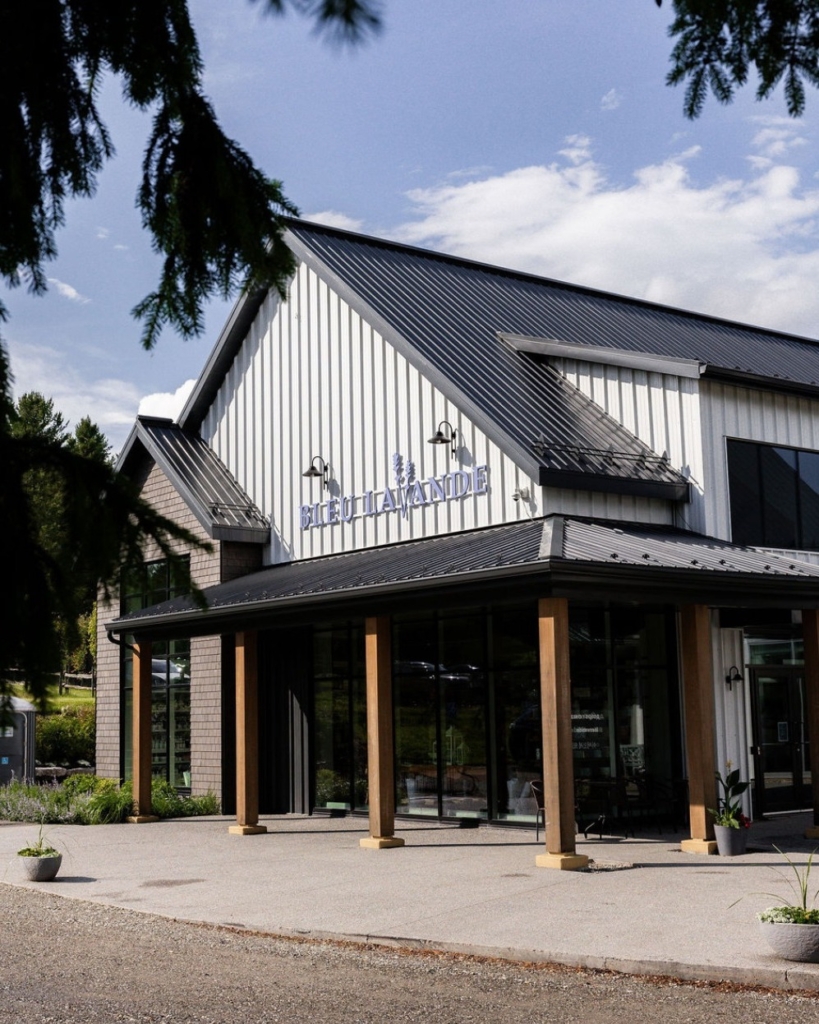 Collection Lavandine 