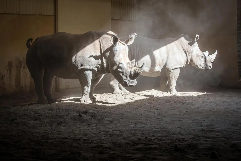 Zoo de Granby : des animaux au parc aquatique