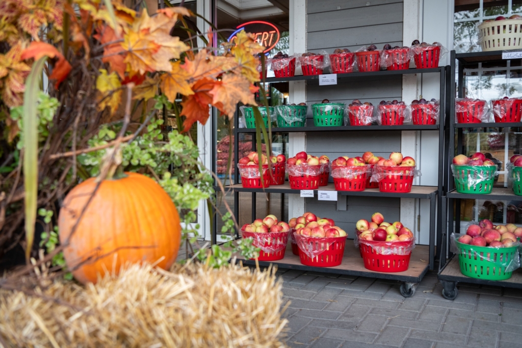 Le Verger Charbonneau : une sortie d’automne à mettre à l’agenda