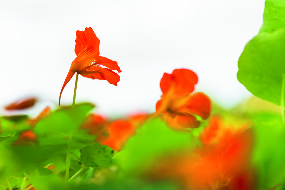 Glow Énergie d’Yves Rocher : l’arme anti-fatigue pour un automne lumineux
