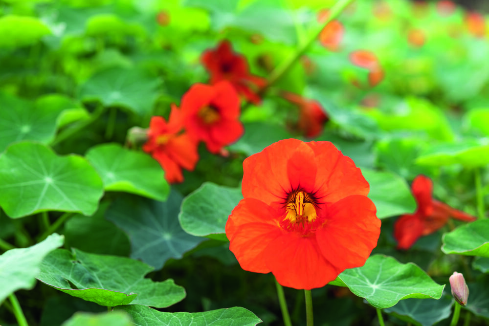 Glow Énergie d’Yves Rocher : l’arme anti-fatigue pour un automne lumineux