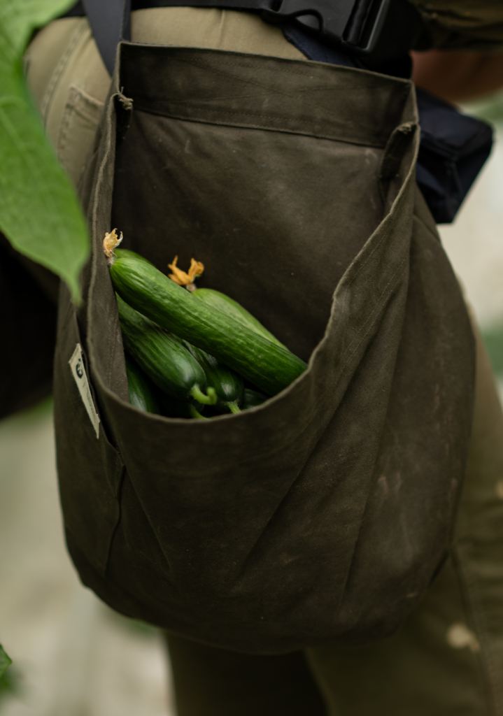 Les Jardins du Monarque : du champ à l’assiette, une histoire de famille