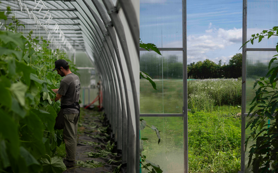 Les Jardins du Monarque : du champ à l’assiette, une histoire de famille