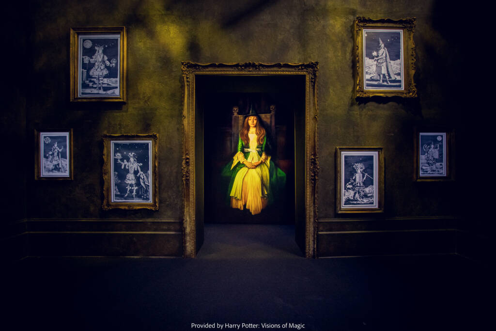 Harry Potter : Visions de la magie