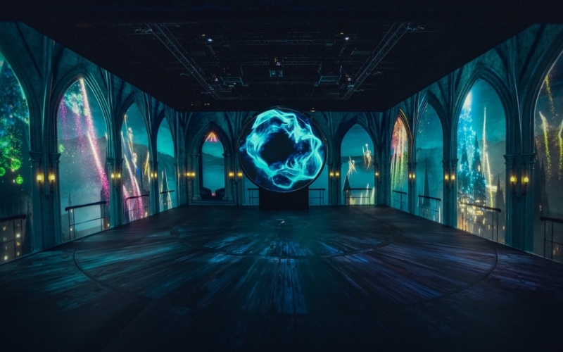 Harry Potter Visions de la magie