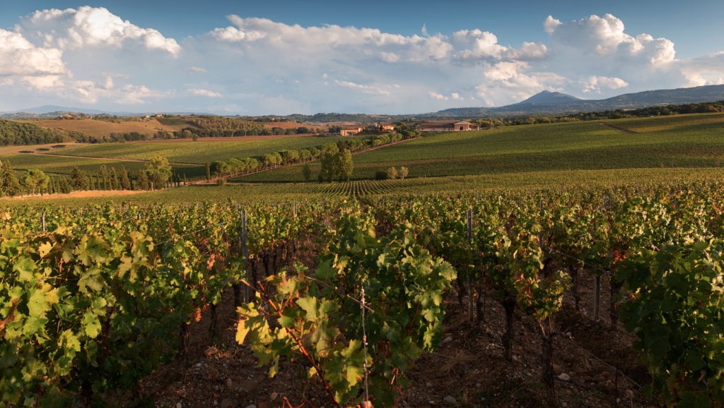 Maisons de vins Carpineto en Toscane