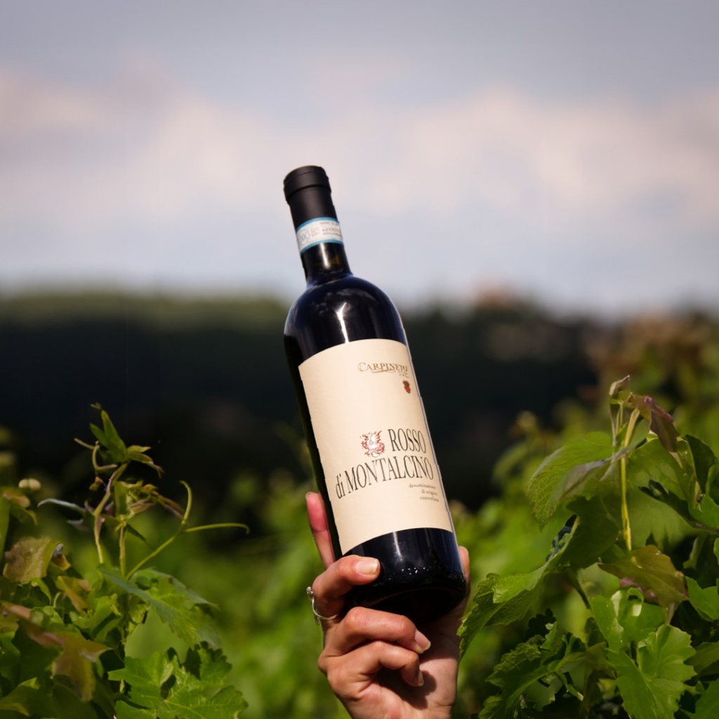 Maisons de vins Carpineto en Toscane