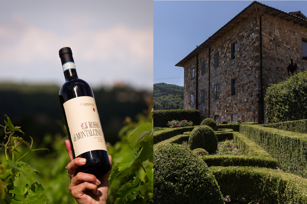 Maisons de vins Carpineto en Toscane