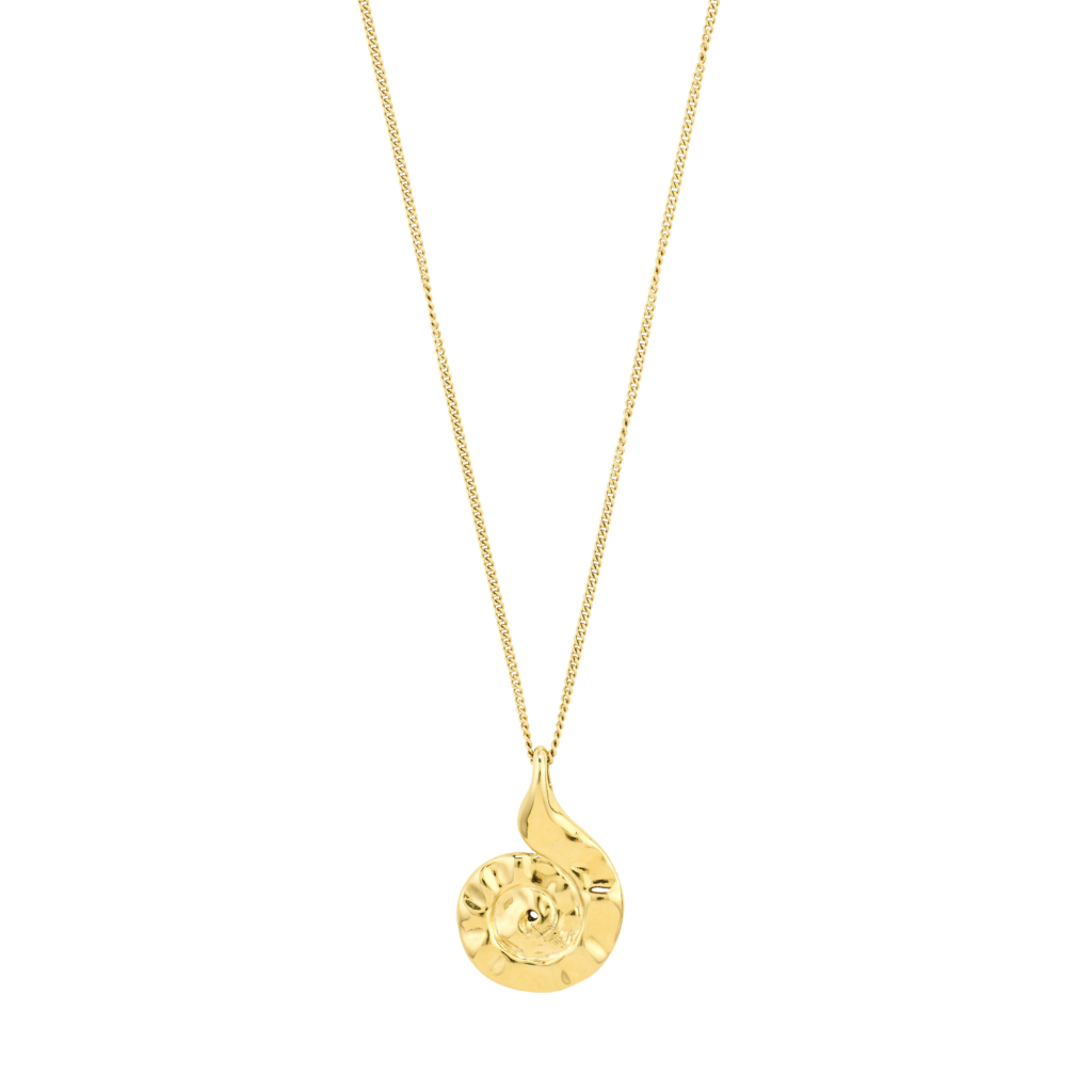 Collier pendentif coquillage pilgrim