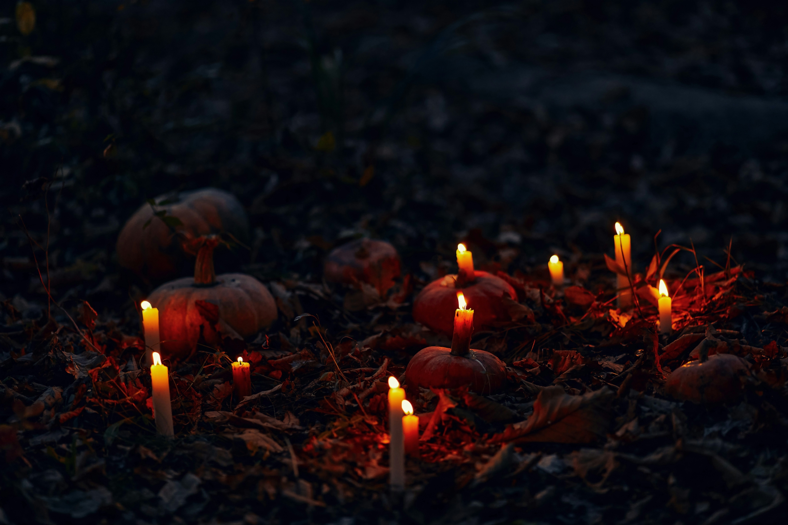 Quoi faire à l'Halloween : 5 activités pour sortir de l'ordinaire